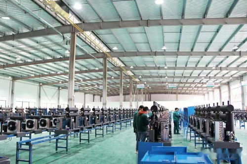 2020年工作回眸 武東鎮 盡心竭力 穩增長 ,經濟建設取得新成就